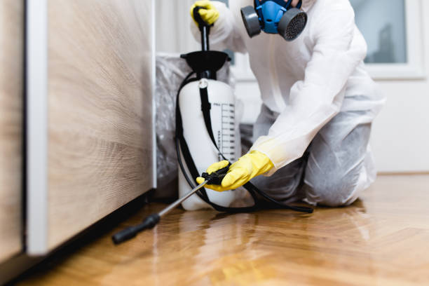 Best Pest Control Cost  in Weaverville, NC