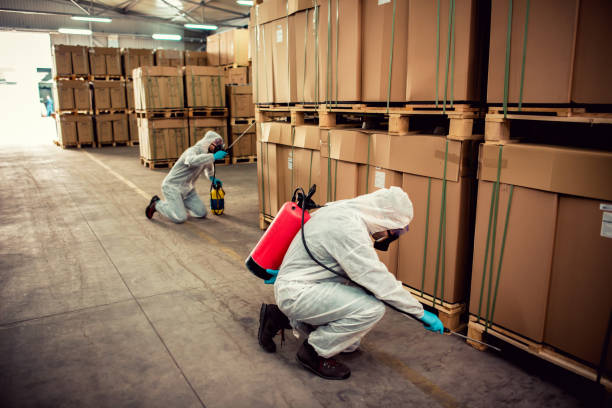 Best Pest Prevention Services  in Weaverville, NC