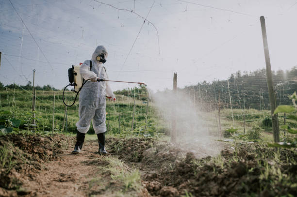 Best Local Pest Control Services  in Weaverville, NC