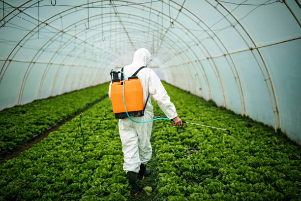 Best Affordable Pest Control Services  in Weaverville, NC