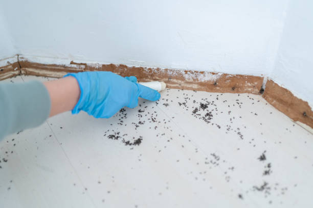 Pest Control Cost in Weaverville, NC